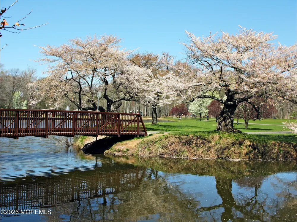 1106 Hawthorne Parkway Spring Lake, NJ 07762