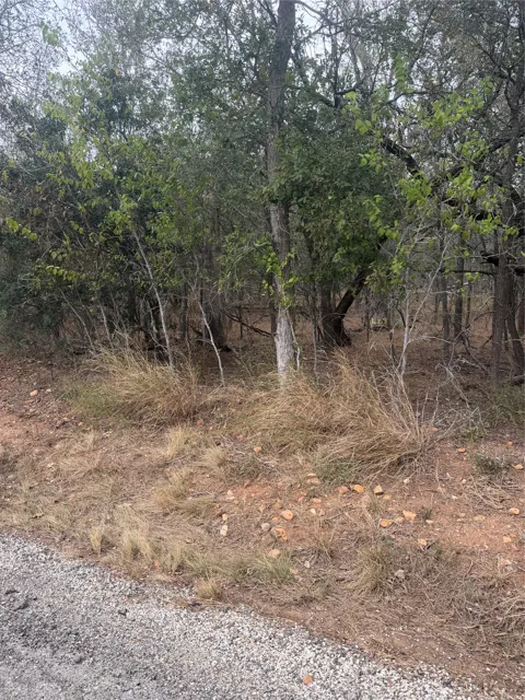298 Riverside and Kahana Drive
