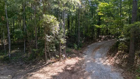 1221 US Hwy 27