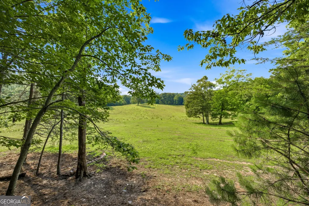 232 Sunburst LN Clarkesville, GA 30523