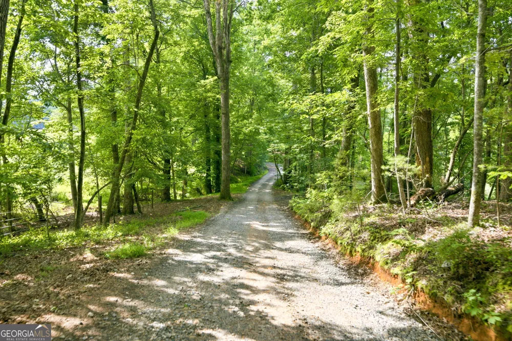 232 Sunburst LN Clarkesville, GA 30523
