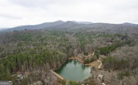 11 LOTS Mountain Lake DR