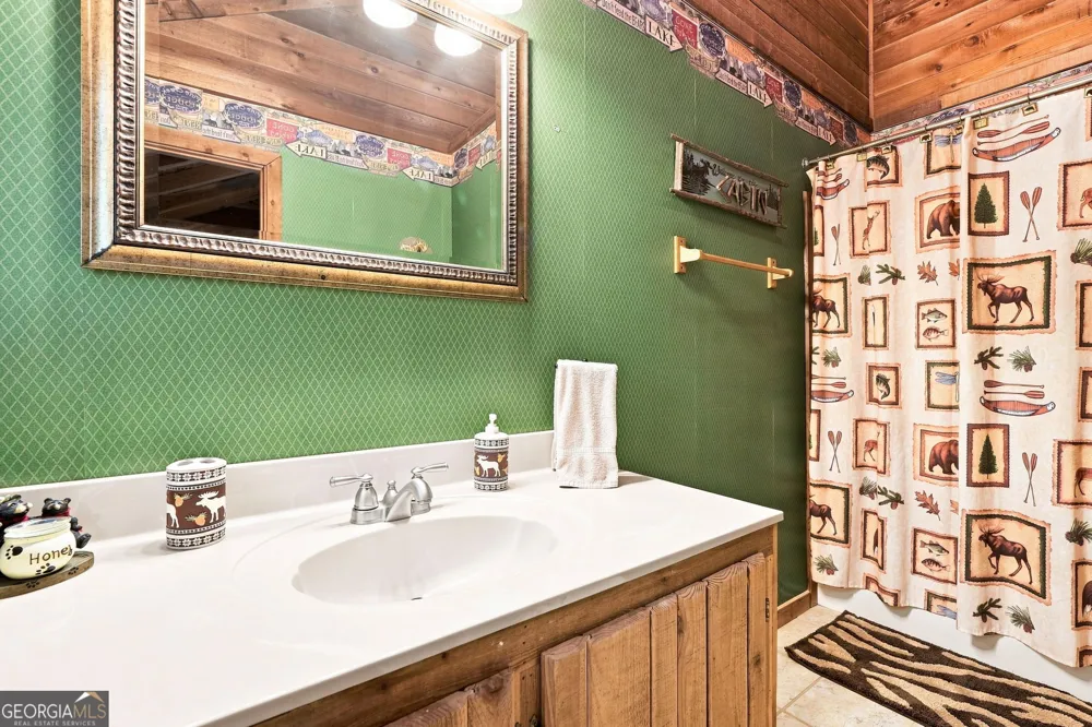 219 Nantahala DR Blue Ridge, GA 30513