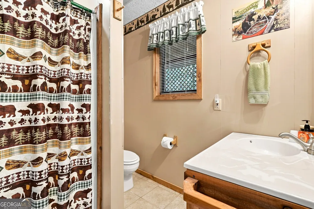 219 Nantahala DR Blue Ridge, GA 30513