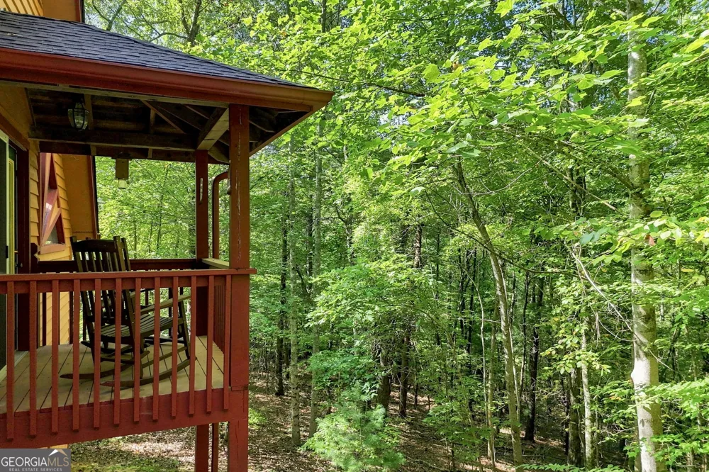 219 Nantahala DR Blue Ridge, GA 30513