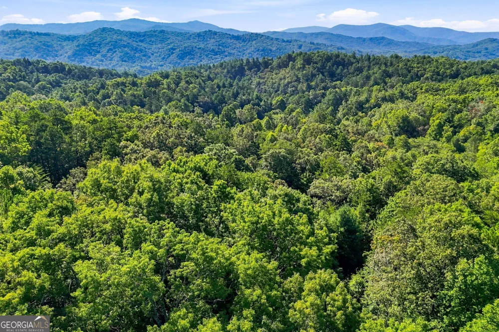 219 Nantahala DR Blue Ridge, GA 30513