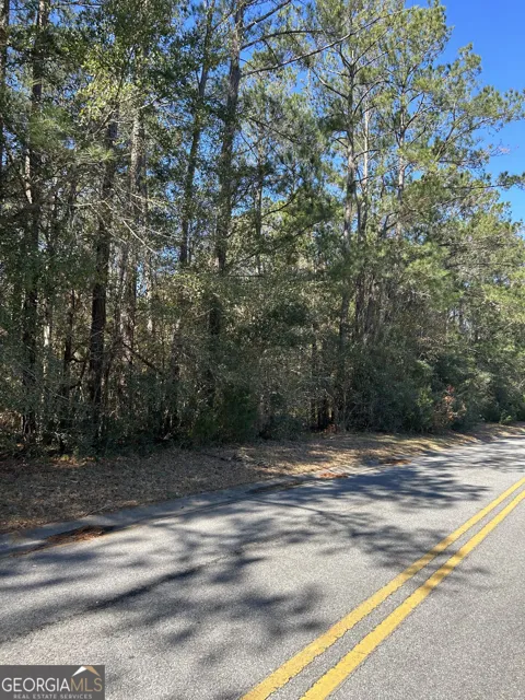 LOT 4 Palm Island DR
