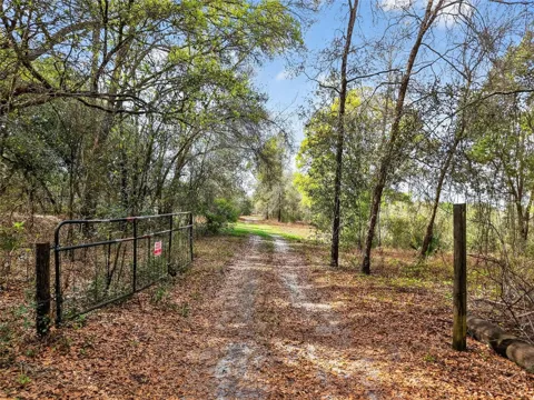 ISLAND POND LANE