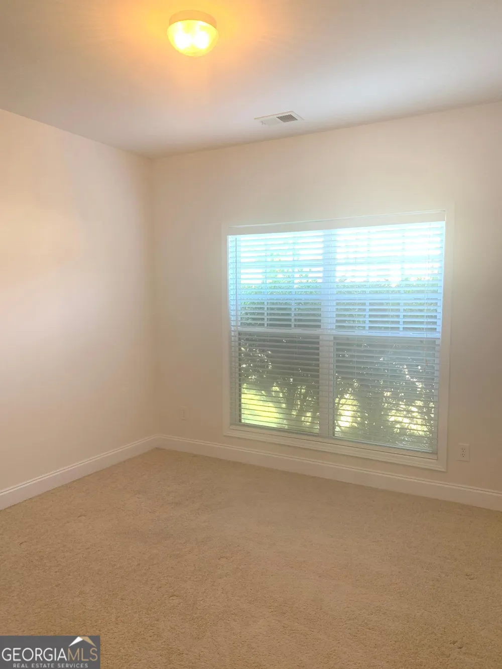 2118 Water Mill CT Buford, GA 30519