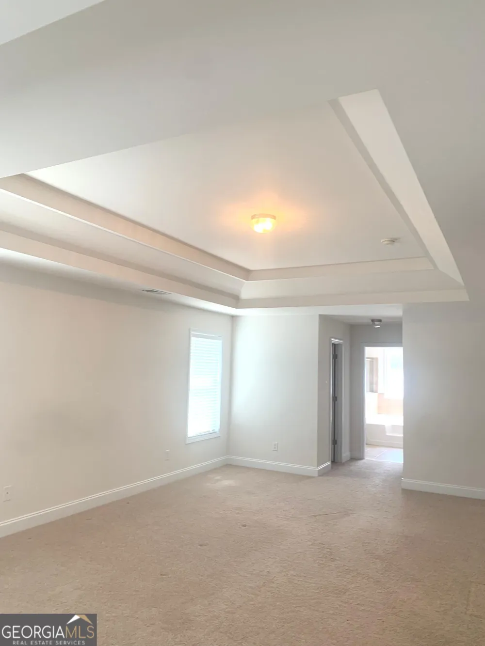 2118 Water Mill CT Buford, GA 30519