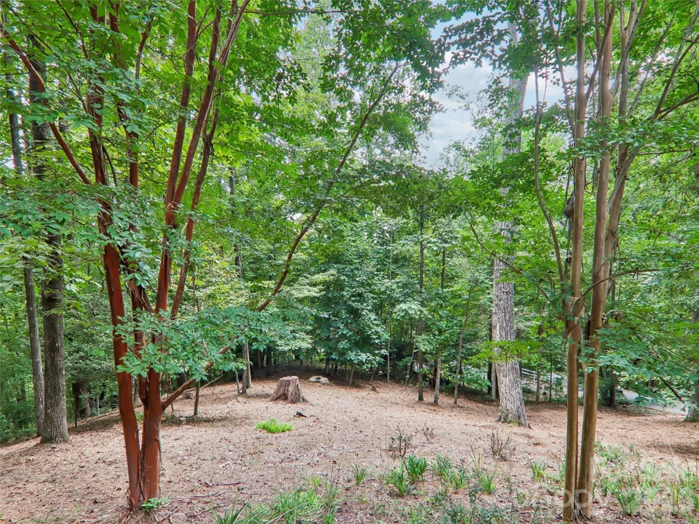 404 Southview Lane Flat Rock, NC 28731