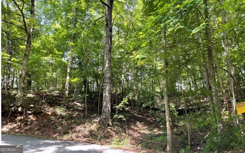 #7 Mountain Drive North