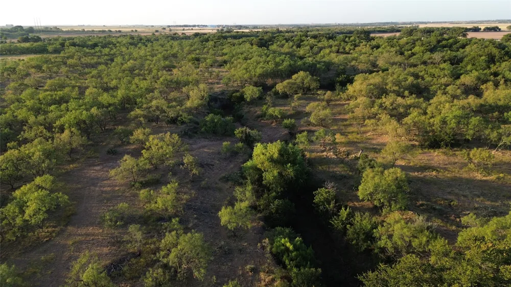 801 State Highway 153 Wingate, TX 79566