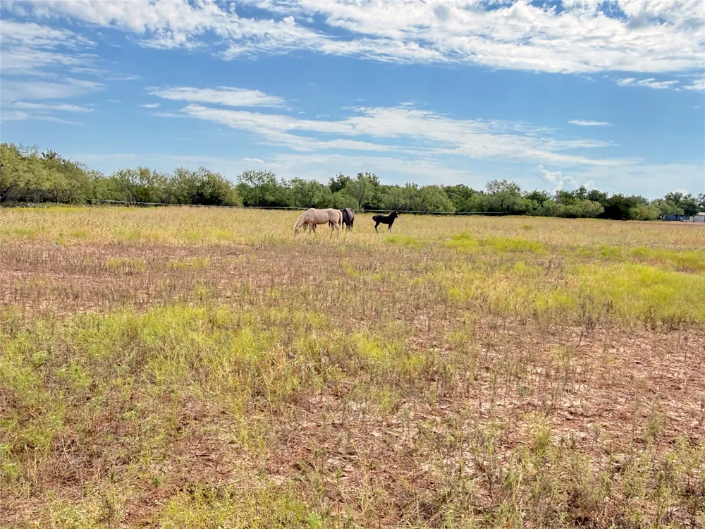 801 State Highway 153 Wingate, TX 79566