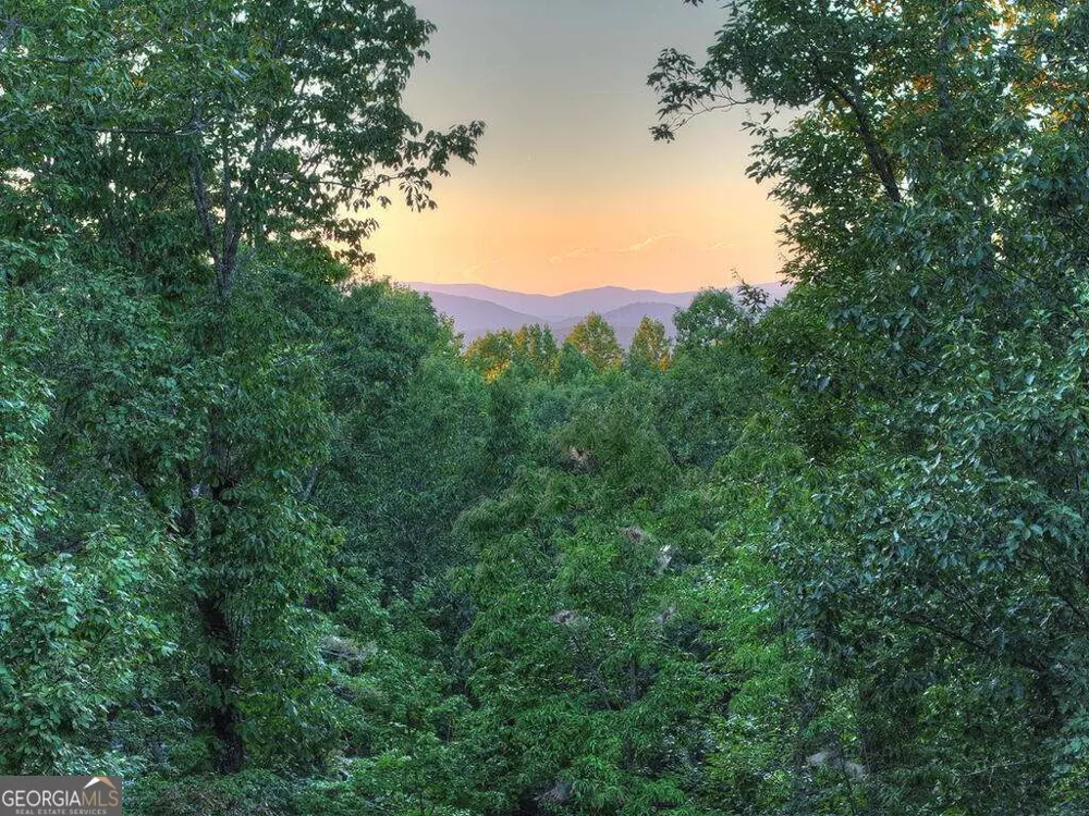 169 Walnut Mountain RD Ellijay, GA 30540