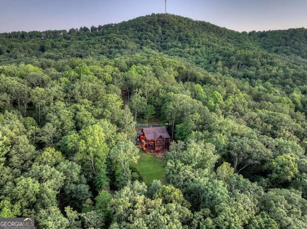 169 Walnut Mountain RD Ellijay, GA 30540