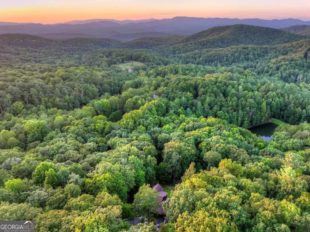 169 Walnut Mountain RD Ellijay, GA 30540