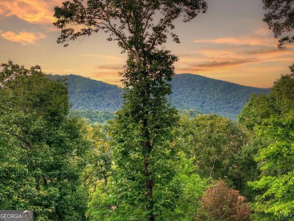 169 Walnut Mountain RD Ellijay, GA 30540