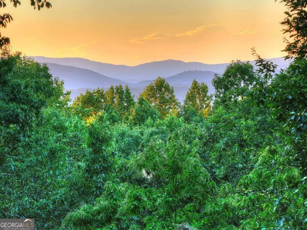169 Walnut Mountain RD Ellijay, GA 30540