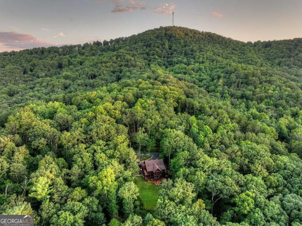 169 Walnut Mountain RD Ellijay, GA 30540