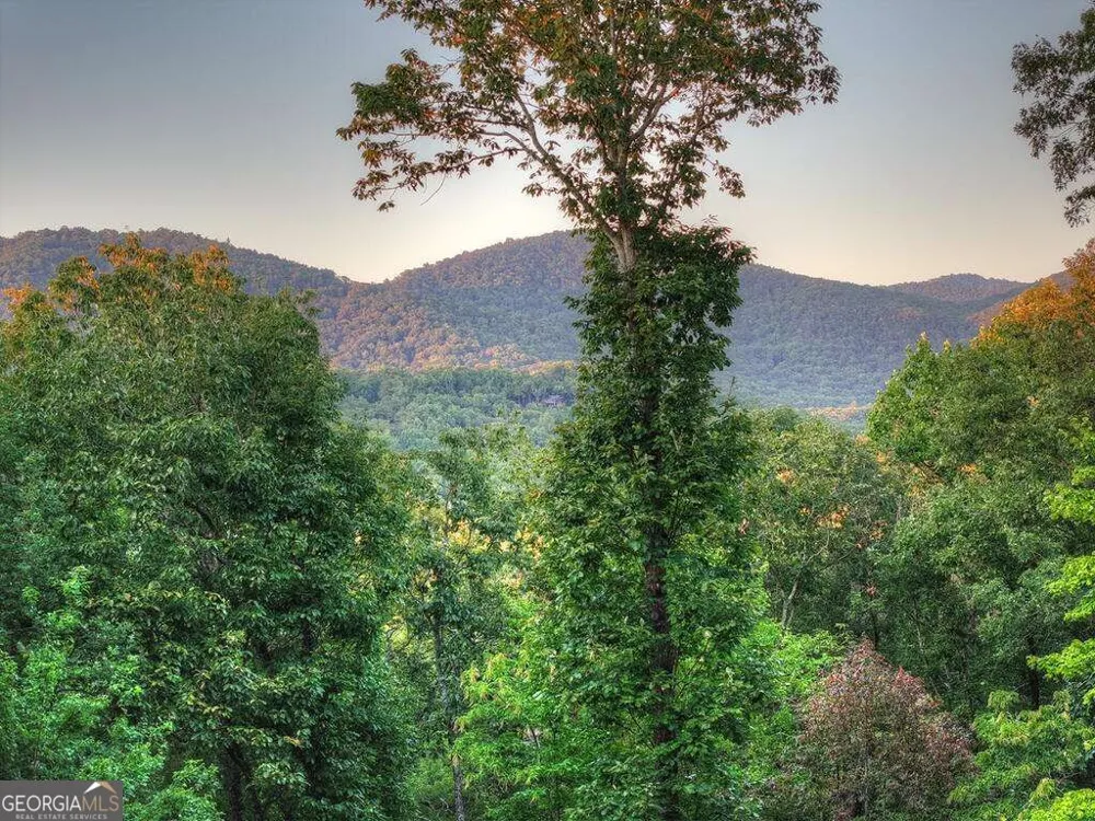 169 Walnut Mountain RD Ellijay, GA 30540