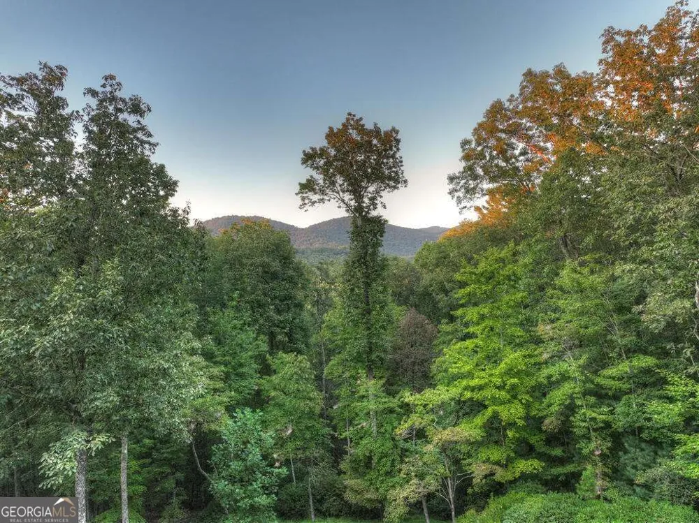 169 Walnut Mountain RD Ellijay, GA 30540