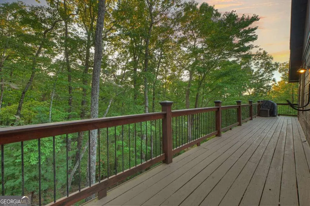 169 Walnut Mountain RD Ellijay, GA 30540
