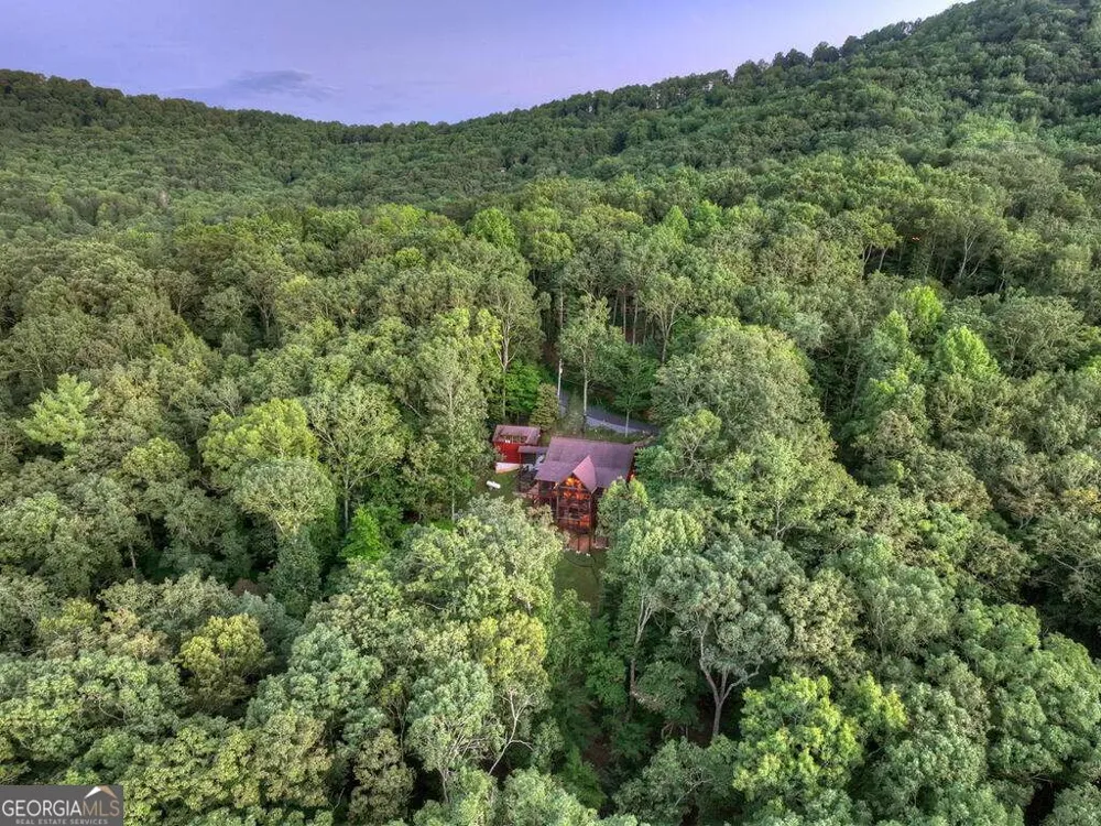 169 Walnut Mountain RD Ellijay, GA 30540