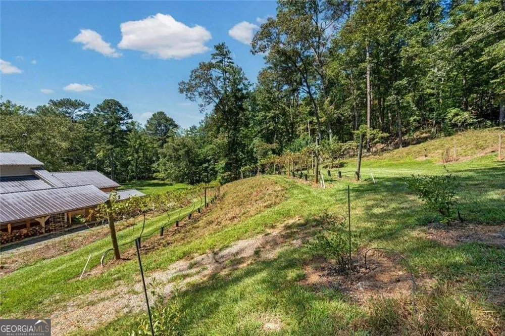 25 Clayton Chester RD Dawsonville, GA 30534