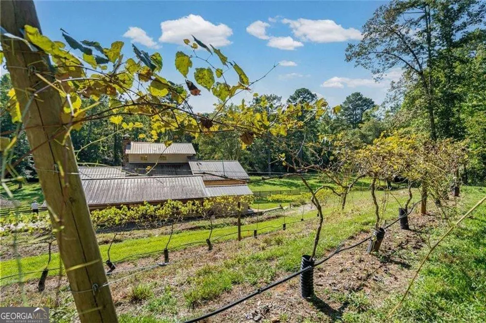 25 Clayton Chester RD Dawsonville, GA 30534
