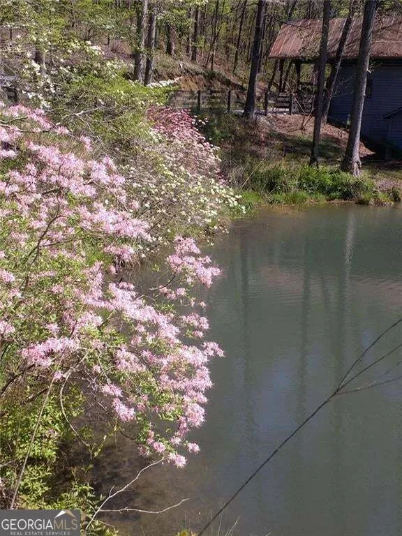 25 Clayton Chester RD Dawsonville, GA 30534