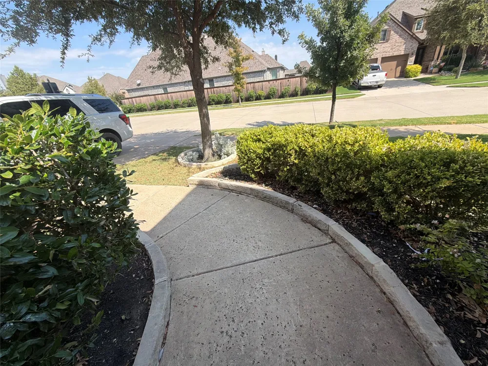 16204 Cullen Park Way Prosper, TX 75078