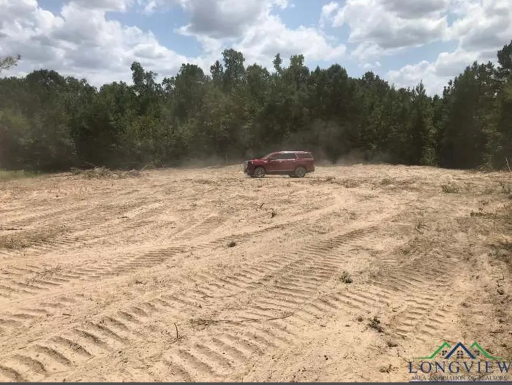 Aster Road Gilmer, TX 75644