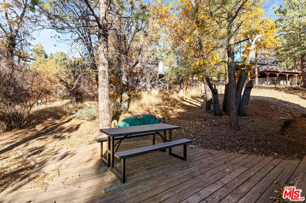 1011 Colusa Way Big Bear, CA 92315