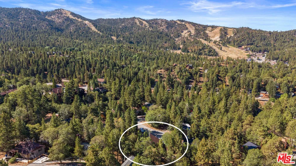 1011 Colusa Way Big Bear, CA 92315