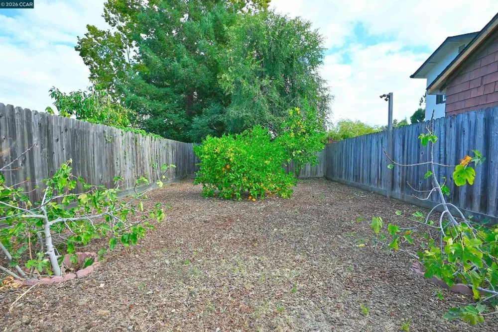 1124 Bush St Martinez, CA 94553