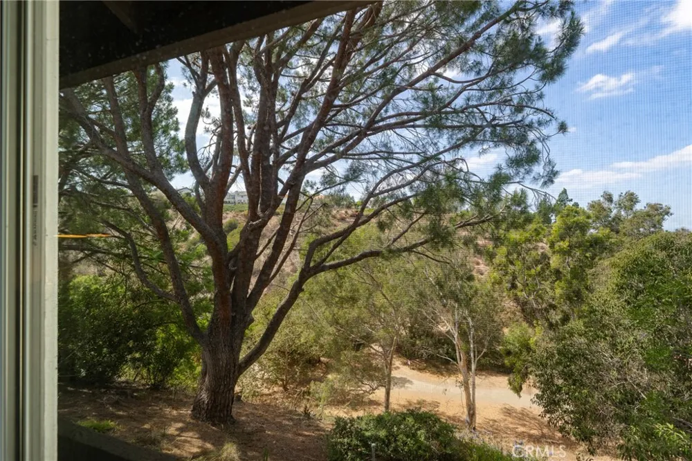 5548 E Vista del Amigo Anaheim Hills, CA 92807