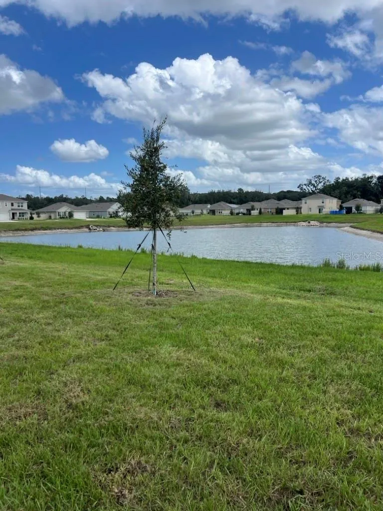 3329 SPINEYWOOD DRIVE Ocoee, FL 34761