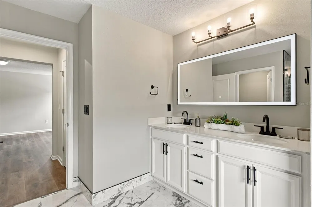 10646 HAWKS LANDING DRIVE Land O Lakes, FL 34638