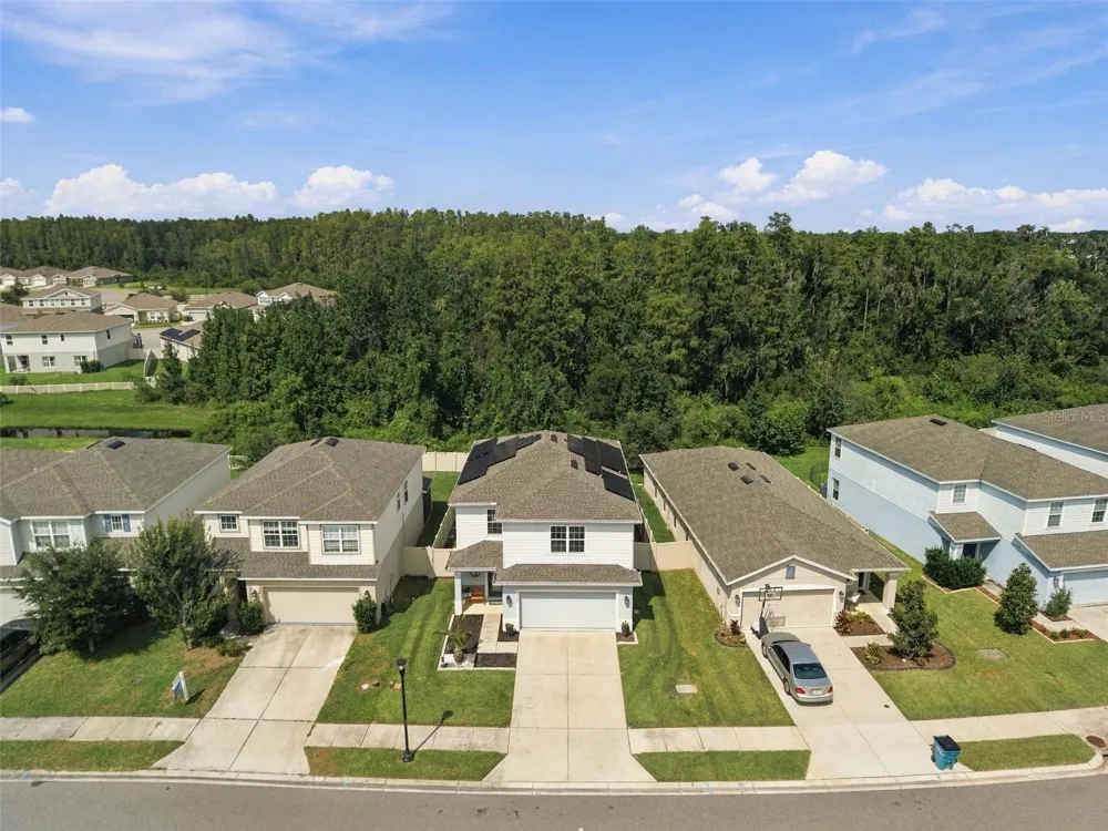 10646 HAWKS LANDING DRIVE Land O Lakes, FL 34638