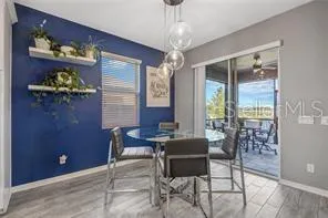 32455 SAPNA CHIME DRIVE Wesley Chapel, FL 33545
