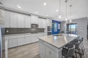 32455 SAPNA CHIME DRIVE Wesley Chapel, FL 33545