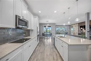32455 SAPNA CHIME DRIVE Wesley Chapel, FL 33545