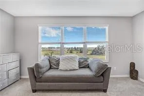 32455 SAPNA CHIME DRIVE Wesley Chapel, FL 33545