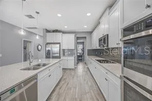 32455 SAPNA CHIME DRIVE Wesley Chapel, FL 33545