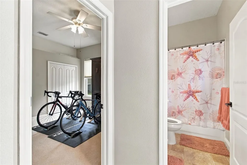 2501 BAY FIELD COURT Holiday, FL 34691