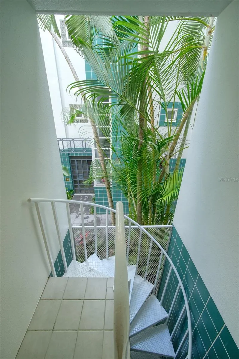 4950 BAYSHORE BOULEVARD #16 Tampa, FL 33611