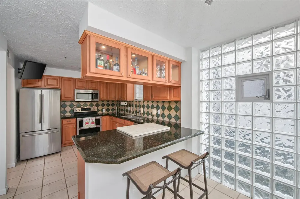4950 BAYSHORE BOULEVARD #16 Tampa, FL 33611