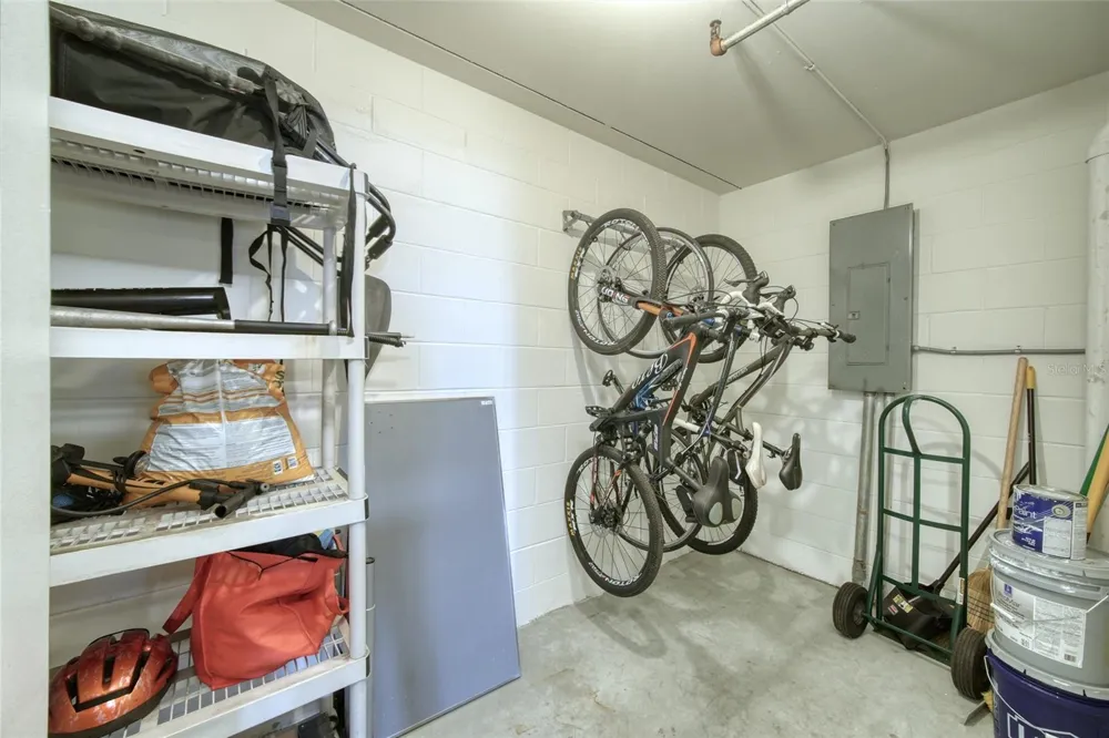 4950 BAYSHORE BOULEVARD #16 Tampa, FL 33611