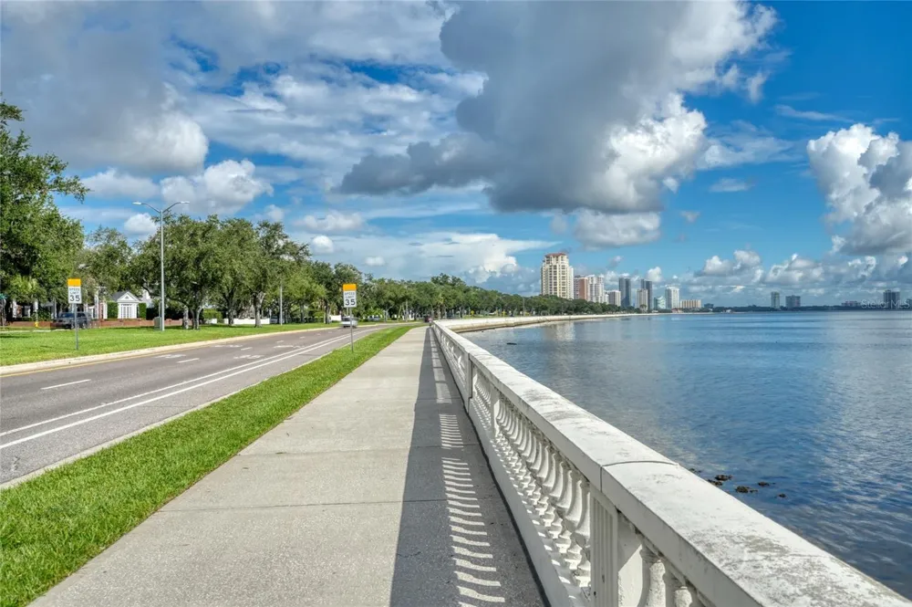 4950 BAYSHORE BOULEVARD #16 Tampa, FL 33611